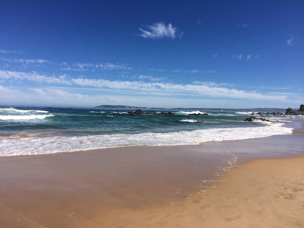 The Green Palm Cottage Plettenberg Bay Exteriör bild